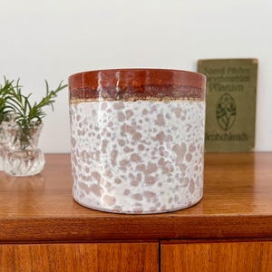 Peut inclure: Un pot en céramique avec un extérieur blanc et marron tacheté et un bord marron foncé. Le pot est posé sur une surface en bois, avec de petits vases en verre contenant de la verdure à gauche. Un livre est en arrière-plan.