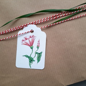 4er Set Geschenkanhänger Ackerwinde, Wildblume