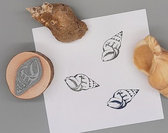 Stamp sea snail whelk snail shell