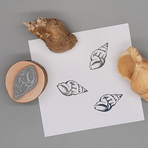 stempel zeeslak wulk slakkenhuis