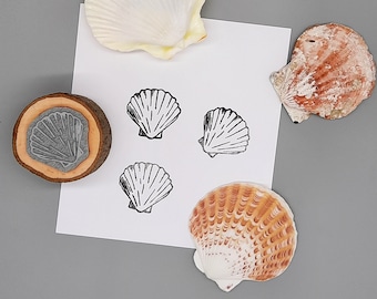 Stamp scallop pilgrim shell