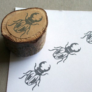 Stamp stag beetle beetle motif stamp insect image 3