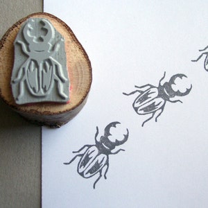 Stamp stag beetle beetle motif stamp insect image 2