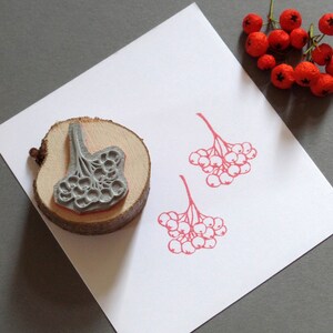 Stempel Vogelbeere Beerenzweig der Eberesche