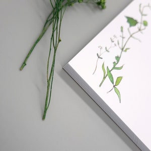 Notepad Grass A6 Romantic Writing Pad Small Notes image 2