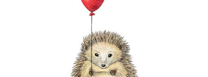 Igel mit Ballon Druck DIN A4 Kinderzimmerbild Illustration Waldtier Bild 5