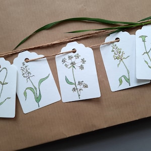 Set van 5 cadeaukaartjes grassen decoratieve cadeaubonnen