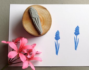 Stempel Traubenhyazinthe Blume Frühlingsblume