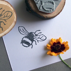Stempel Hummel Insekt