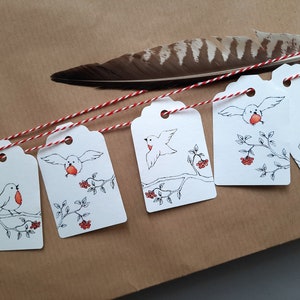 5er Set Geschenkanhänger Rotkehlchen Geschenkdekoration Vögel Bild 1