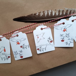 Conjunto de 5 etiquetas para presente pássaros de decoração de presente robins