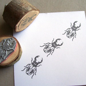 Stempel Hert Kever Kevermotief Stempel Insect