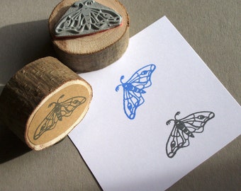 Stempel Nachtfalter Motte Schmetterling