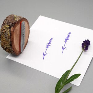 Lavender motif stamp, Mediterranean herbs image 7