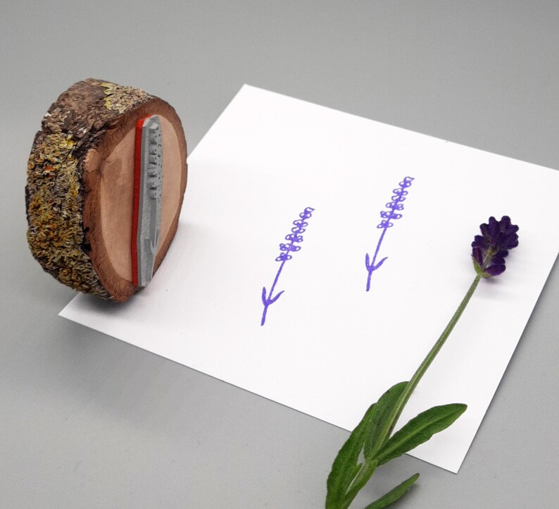 Lavender motif stamp, Mediterranean herbs image 7