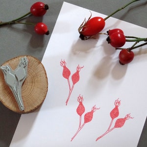 Timbro con motivo autunnale e rosa canina