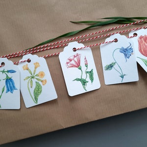 Conjunto de 5 etiquetas para presentes, flores, etiquetas de papel para decoração de presentes