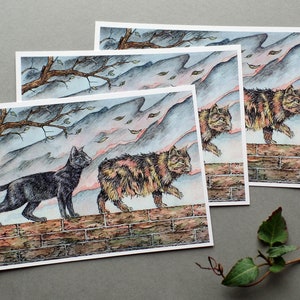 3 cartes postales chats lot de 3 cartes chats