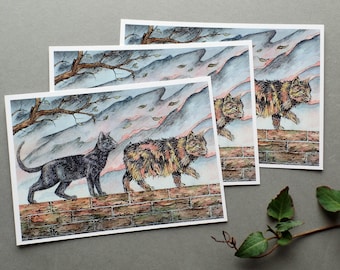 3 cartes postales chats lot de 3 cartes chats