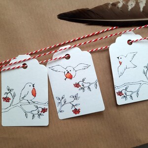 5er Set Geschenkanhänger Rotkehlchen Geschenkdekoration Vögel Bild 2