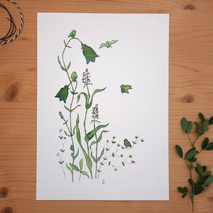 Small Grass Landscape Printing DIN A4 Art Print Illustration Meadow image 1