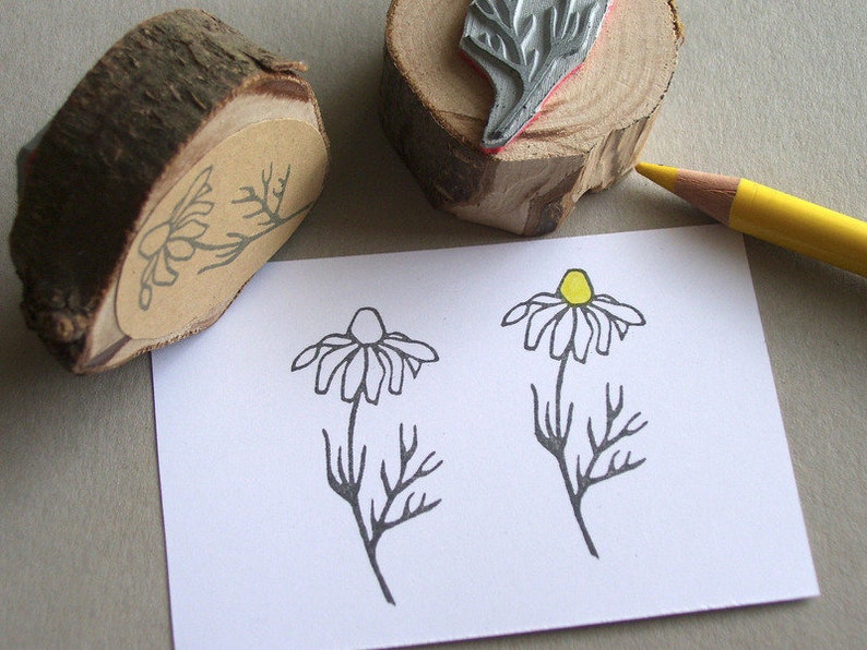 Stempel Kamille Motivstempel Kräuter Blume Bild 1