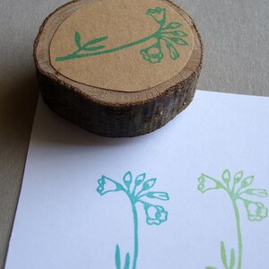 Stempel Wiesenschaumkraut Blume im Frühling Bild 3