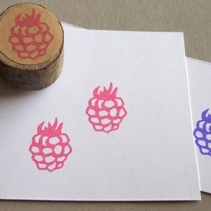 Stamp Raspberry Motif Stamp Fruits for Canning Time image 2