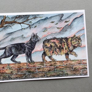 Carte postale chats dans la tempête carte de voeux en automne