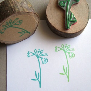 Stempel Wiesenschaumkraut Blume im Frühling Bild 1