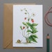 see more listings in the Postcards & Folded Cards section