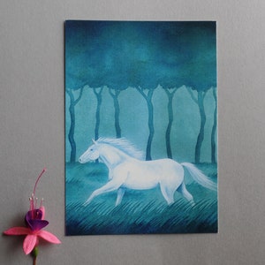 Carte postale cheval blanc