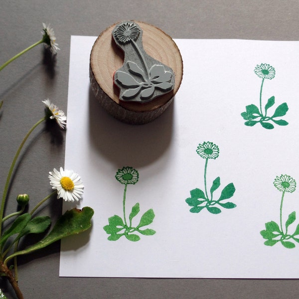 Stempel Gänseblümchen Blume, Blumenstempel