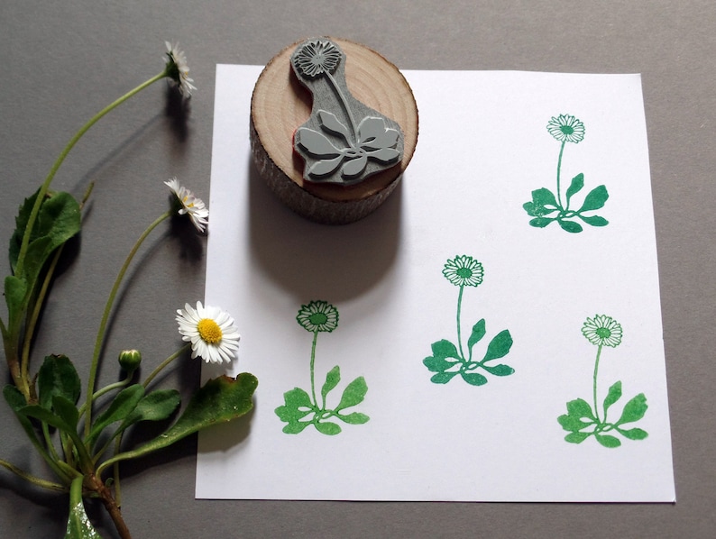 Stempel Gänseblümchen Blume, Blumenstempel Bild 1