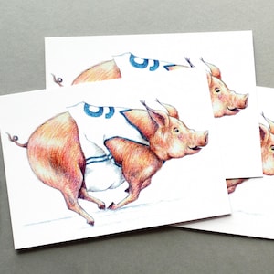 3 Postkarten Rennschwein sportliche Grußkarte