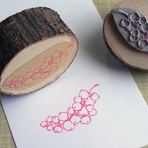 Timbro di ribes per gelatine fatte in casa