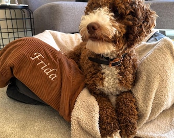 Cozy Dog Blanket in Cord & Teddy Fleece