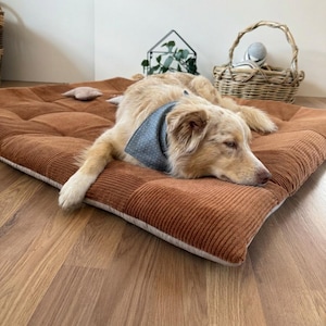 Pode incluir: Uma cama para cães com uma parte superior de veludo cotelê marrom e uma borda branca. A cama para cães é retangular e tem um design acolchoado. Um cão de cor clara com uma bandana azul de bolinhas está descansando na cama.
