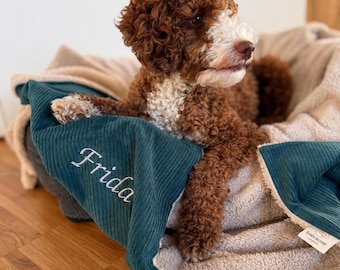 Cozy Dog Blanket in Cord & Teddy Fleece