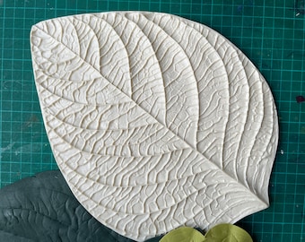 Universal Large flower leaf petal making Mould veiner Large flowers