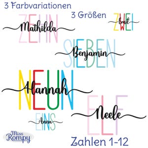 MissRompy | Wort Zahl + Name, (642), Bügelbild, personalisiert, 1-12, Jahre, Aufbügler, Geburtstagsshirt, Geburtstagsbügelbild, Applikation