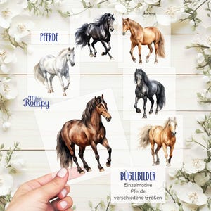 Peut inclure: Plusieurs illustrations de chevaux de différentes couleurs, dont noir, marron, blanc et beige. Les images sont sur des cartes individuelles, avec le mot "PFERDE" et "Miss Rompy" imprimés. Les cartes sont tenues par une main.