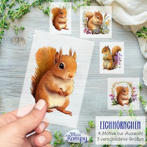 Op de afbeelding: Vier digitale illustraties van rode eekhoorns in verschillende poses. De eekhoorns zijn omringd door bloemen en bladeren. De tekst "Eichhörnchen" staat onderaan de afbeelding, samen met de tekst "4 Motive zur Auswahl" en "3 verschiedene Größen".