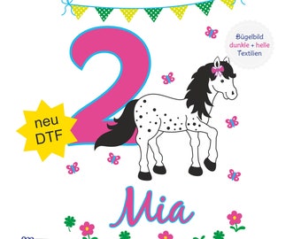 MissRompy | DTF Pony (840) Großes Bügelbild Name Zahl A4 oder A5 Geburtstag Aufbügler Applikation Geburtstagsshirt Geburtstagsbügelbild