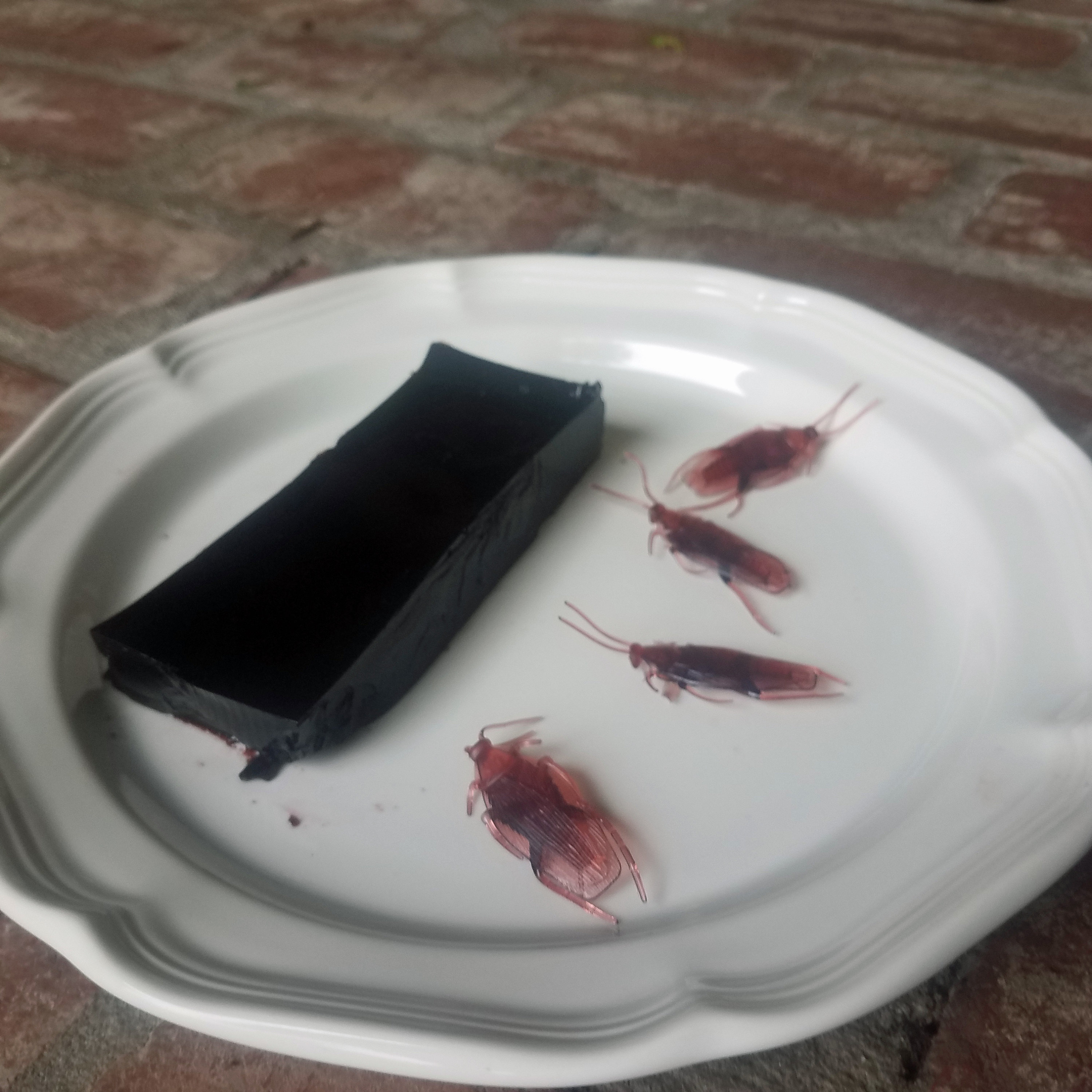 Snowpiercer Protein Bars