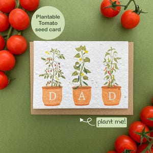 Pflanzliche Karte für Papa, Vatertagskarte, Gartenkarte, Tomatensamenkarte, Gurkengemüsepflanze, Chilipfefferpflanze, Geburtstagskarte für Papa
