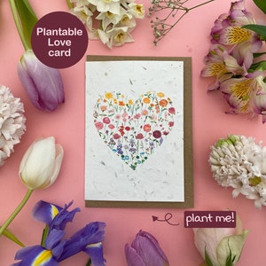 Pflanzbare Blumenherzkarte, leere jede Anlassliebeskarte, Eco freundliche Wildblumensamenkarte, Valentinsgrußblumensamenkarte, Regenbogenblumen