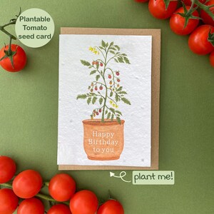 Plantable tomato birthday card, Gardening Card, Tomato seed card, Card for gardeners, Vegetable plant card, Happy birthday to you