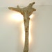 see more listings in the rustic wall lamps section
