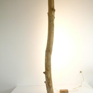 Floor lamp driftwood with dimmer